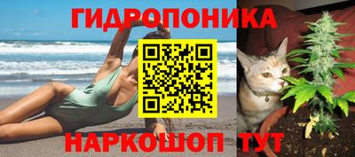 герыч Можга