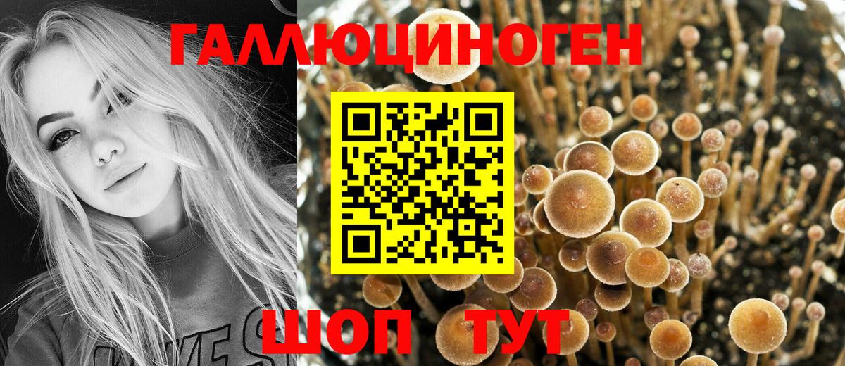 закладка  Вход с VPN  Татарск  Галлюциногенные грибы мухоморы 